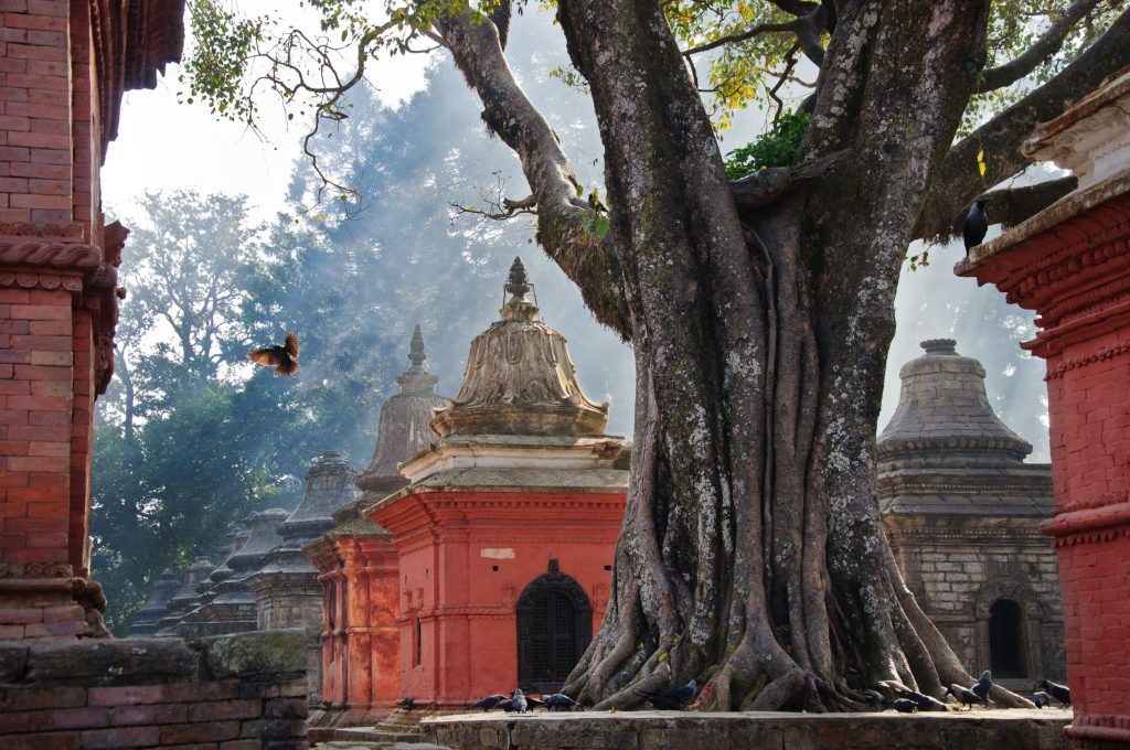 Temples hindous traditionnels sur le site de Pashupatinath à Katmandou