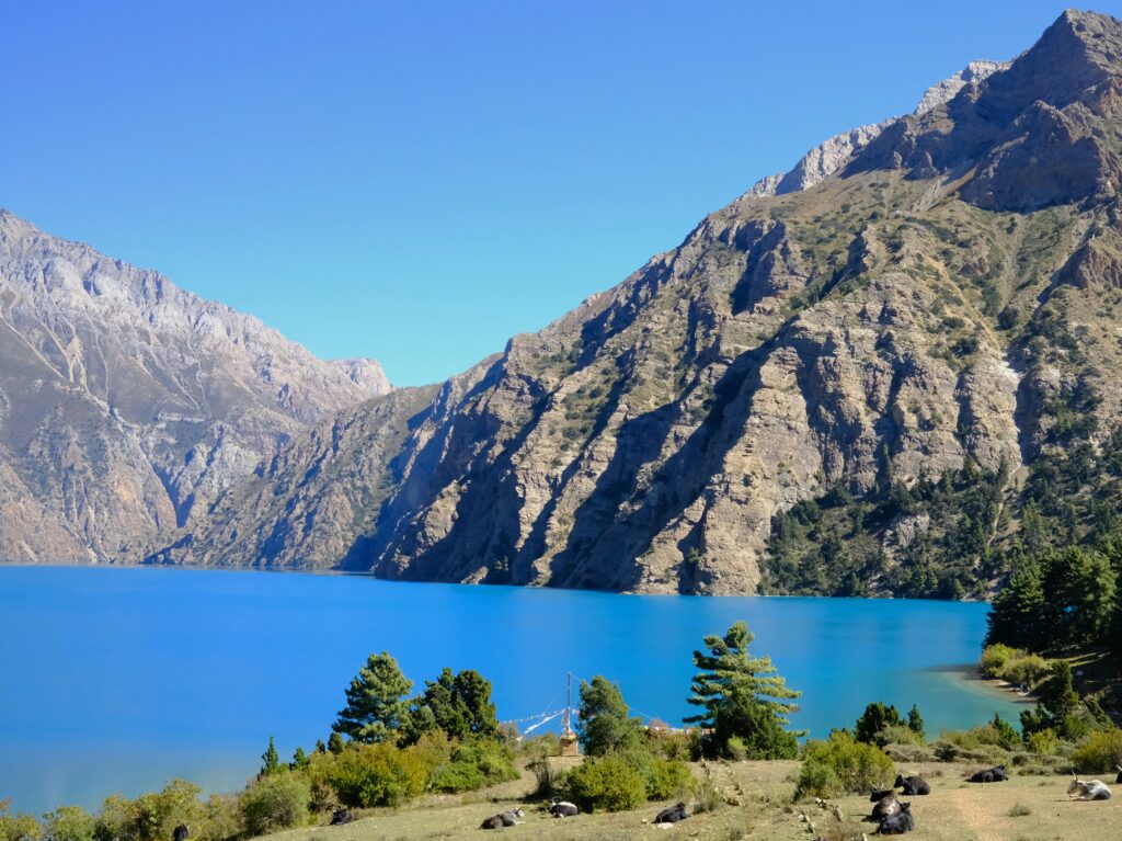 dolpo phoksundo et yaxks